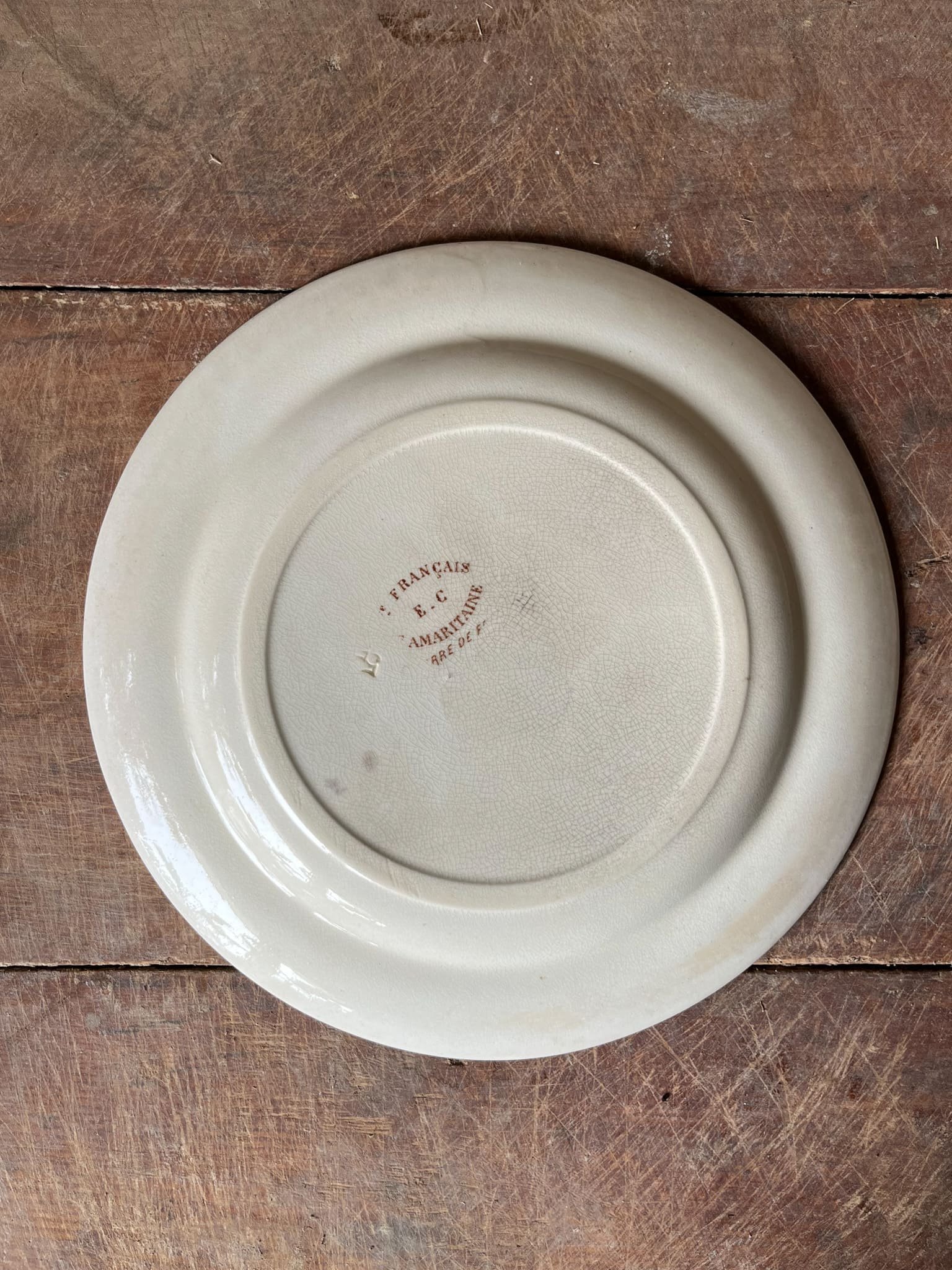 Antique Terre de Fer French Ironstone Plate | Sepia Florals